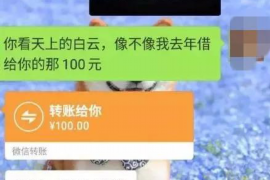 柳州为什么选择专业追讨公司来处理您的债务纠纷？